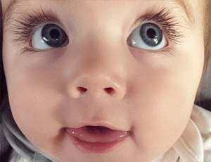 手机号轰在线轰炸