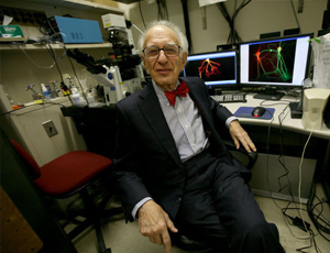 账号批发网站的短信压测工具